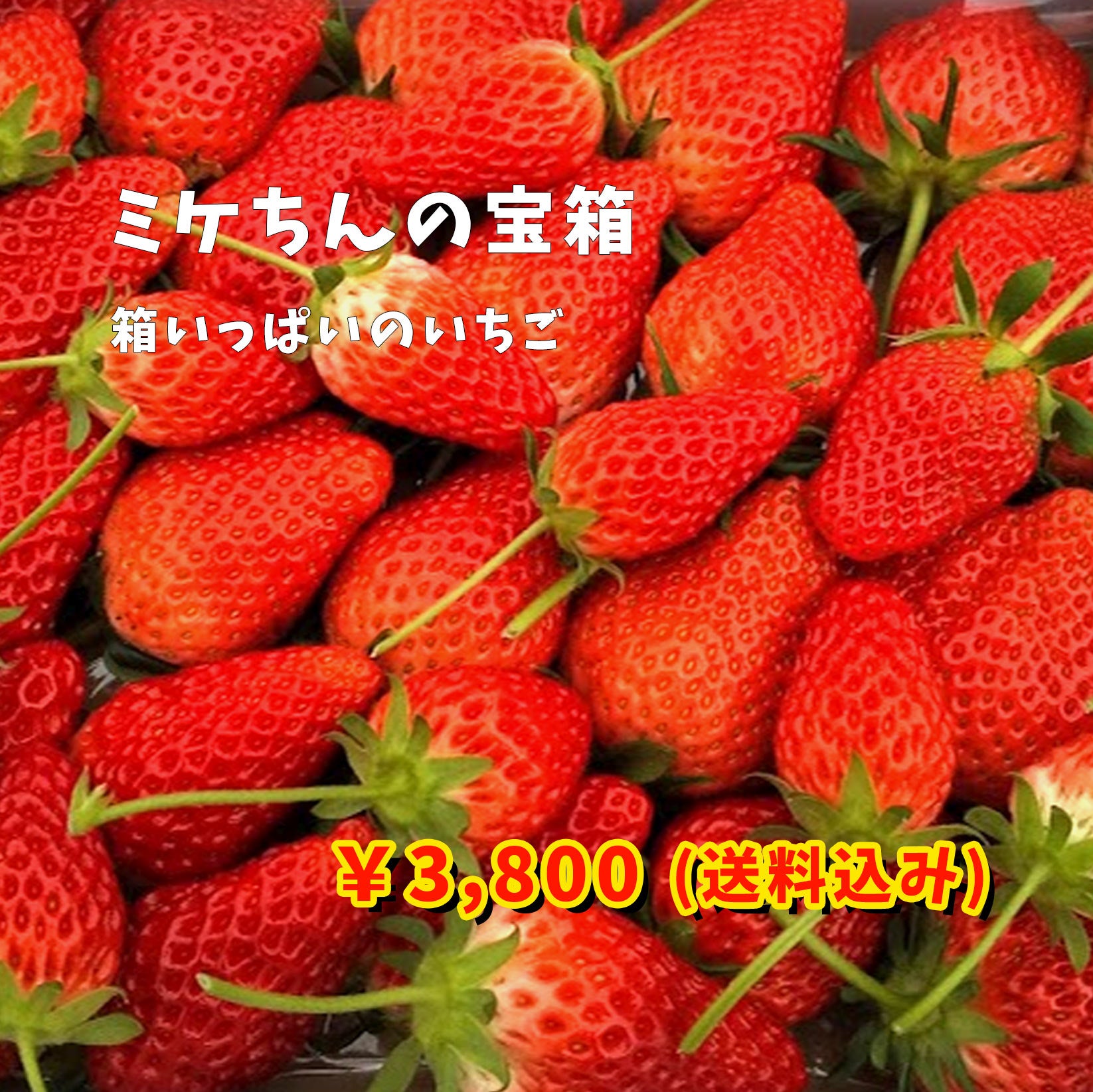 特大】贈答用いちご 8粒×2パック | みつばちBunBun クロスケの大原野