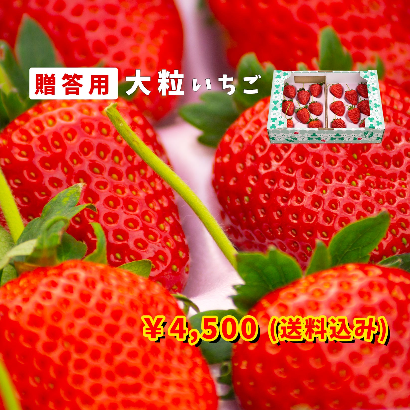 特大】贈答用いちご 8粒×2パック | みつばちBunBun クロスケの大原野