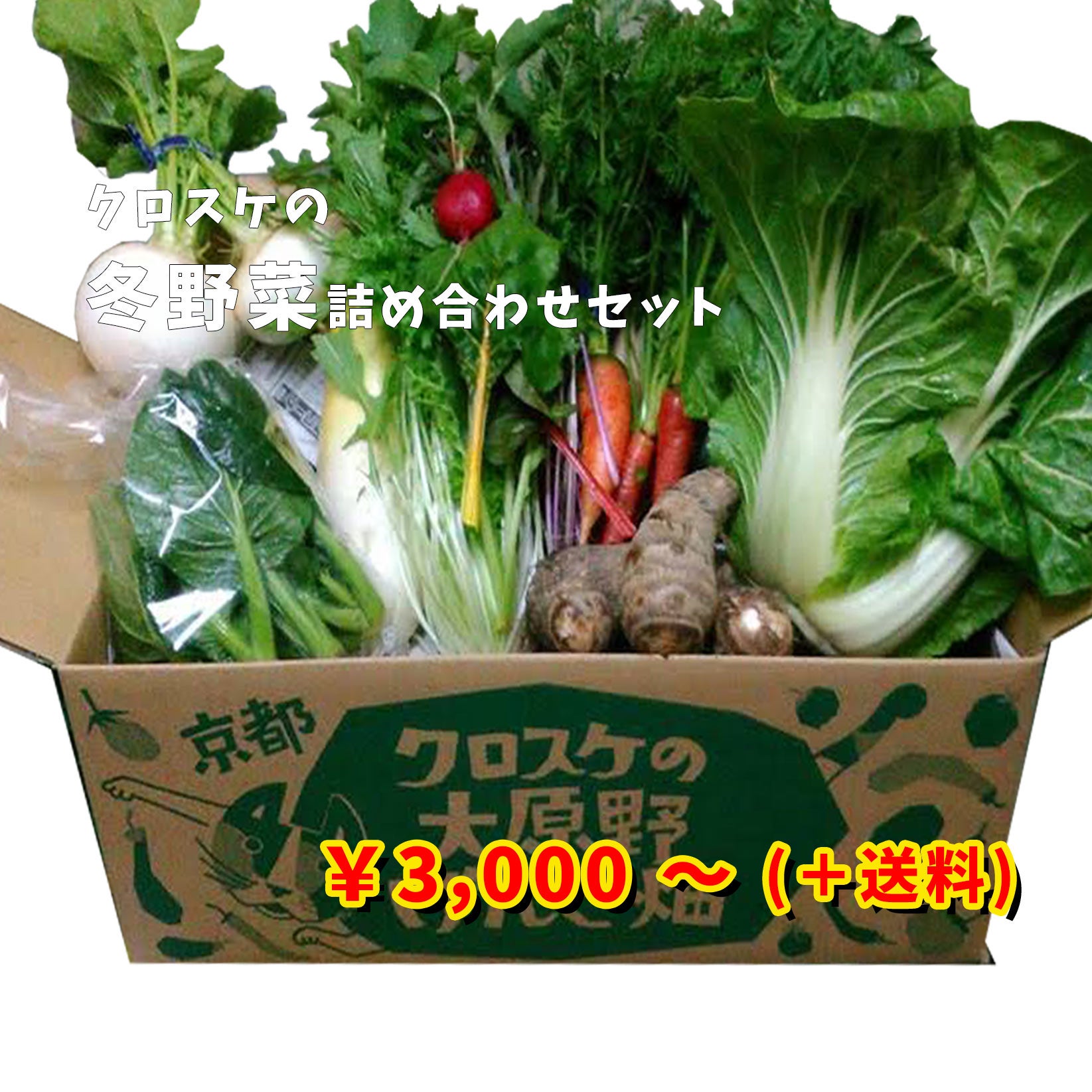 朝採れ！ 冬 野菜 果物 の詰め合わせとでかたまご18個 野菜セット #w